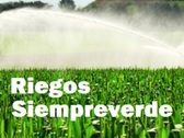 Riegos Siempreverde