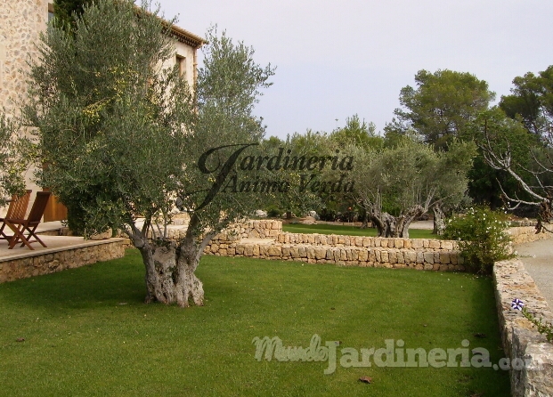 Creación de jardines