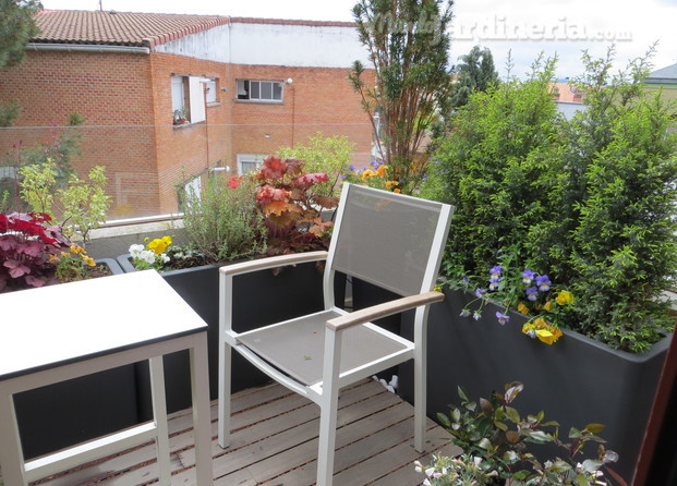 Terraza mini