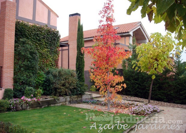 Otoño en el jardín