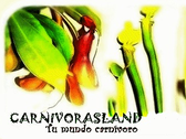 Carnívorasland