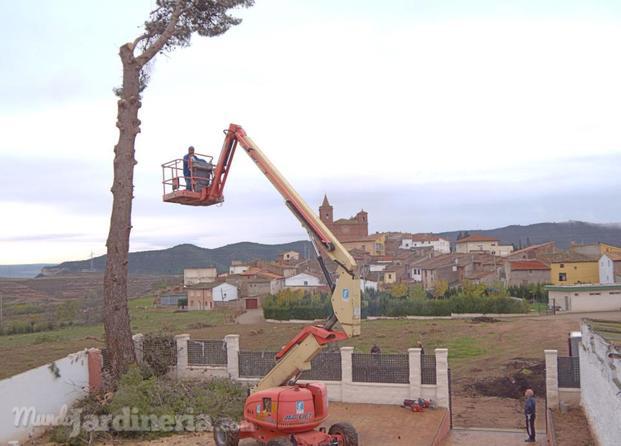 Cortando leña