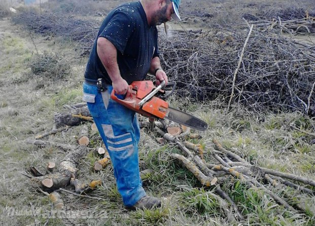 Cortando leña