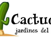 Cactuceres