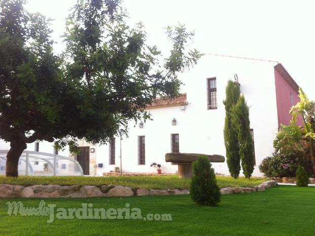 Instalación de Césped Artificial Wondergrass