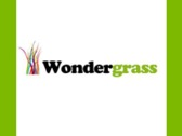 Wondergass Césped Artificial y Aparatos Biosaludables