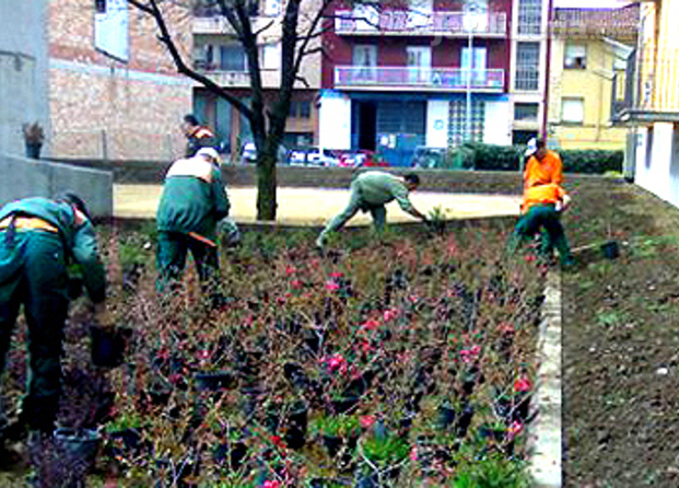 Jardinería