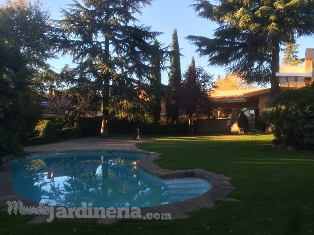 Jardín con piscina