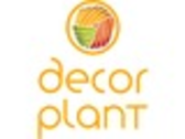 Decor Plant