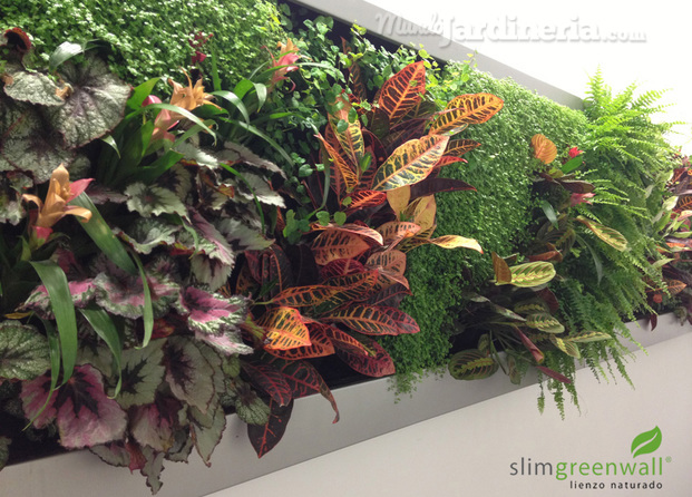 Sistema slimgreenwall