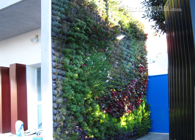 Jardín vertical Saint Mary´s School