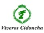 Cidoncha