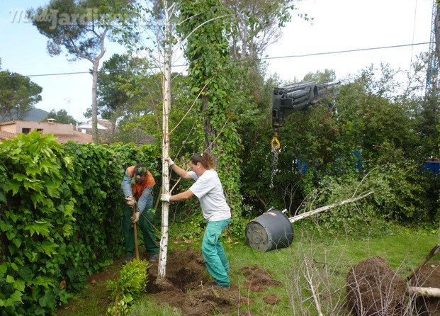 obras