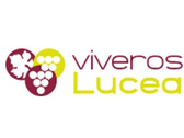 Viveros Lucea