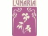 LUNARIA