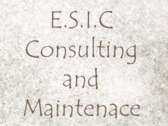 E.s.i.c Consulting And Maintenace