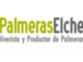 Palmeras Elche