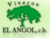 Viveros Angol