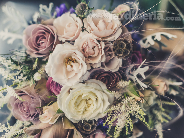 jez-timms-7bVMdNYzH_8-unsplash-1.jpg