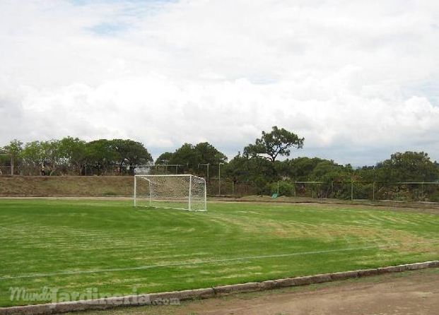 Campo de fútbol