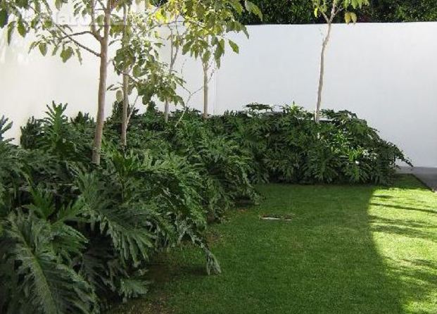 Jardín