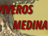 Viveros De Olivo Medina