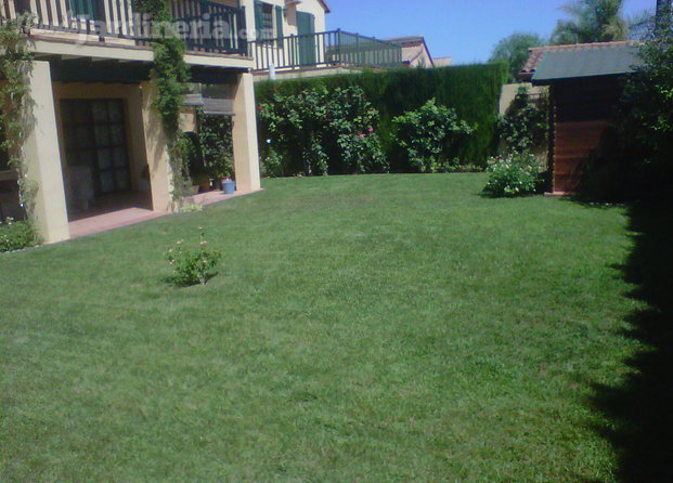 Césped jardín