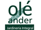 Olé Ander