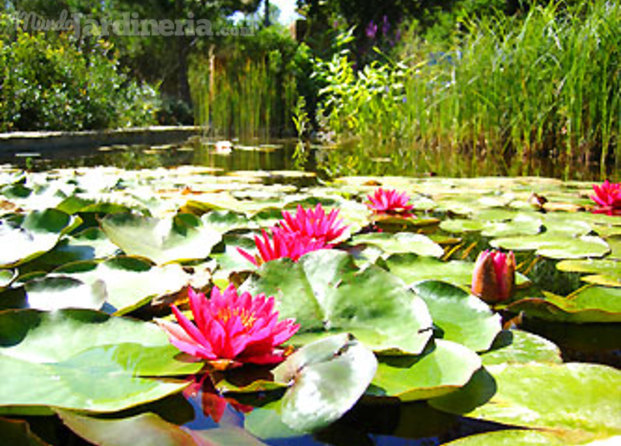 Granada Jardín (7)