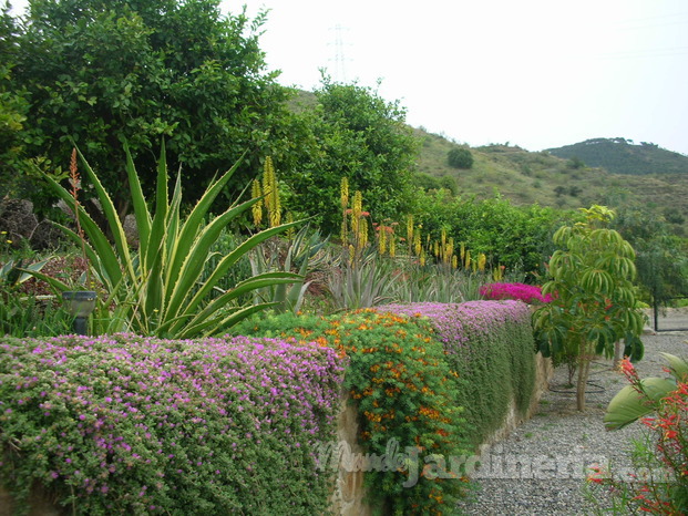 Xerojardineria en Málaga