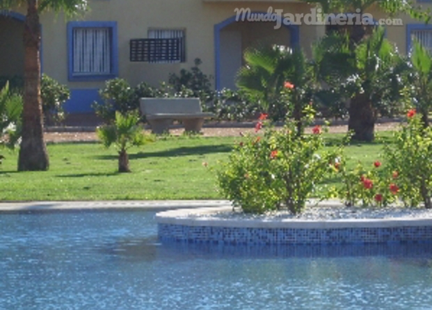 Jardín y Piscina