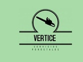 Vertice Servicios