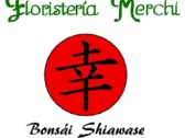 Bonsai Shiawase - Floristeria Merchi