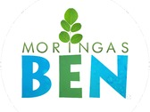 MoringasBen