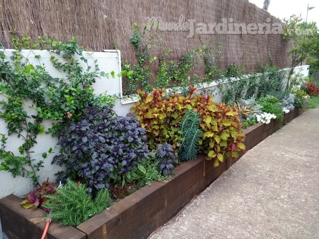 Construcción de cama elevada y diseño de parterre mixto que incluye verduras