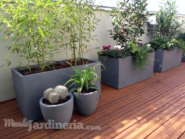 Decoración de terrazas con plantas en macetas mordernas