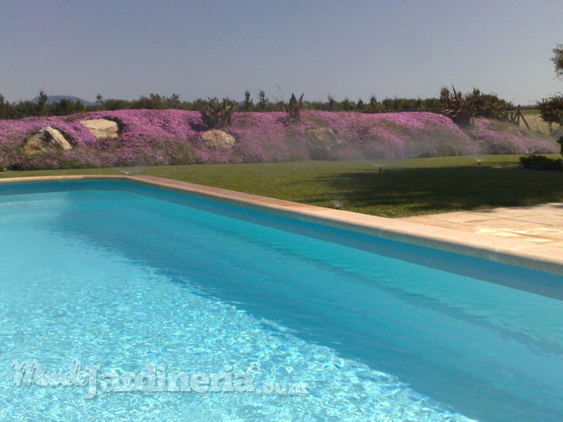 Mantenimiento de piscinas