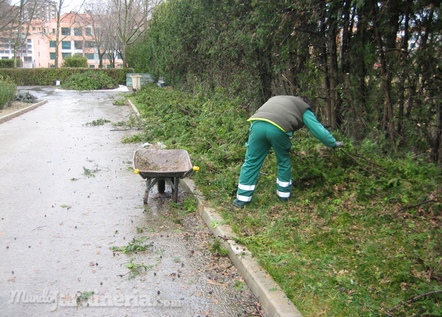 Limpieza Jardín