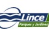 Grupo Lince