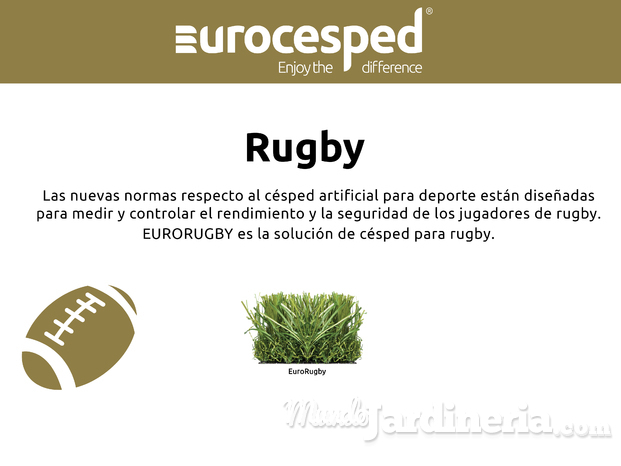 Rugby