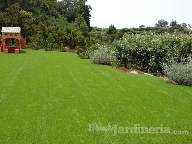 Mi jardín ya no precisa mantenimiento