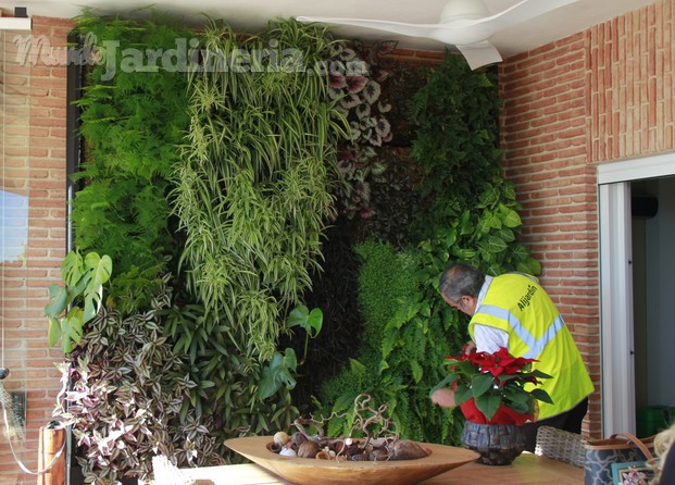 Alijardin, trabajos de mantenimiento de jardín vertical