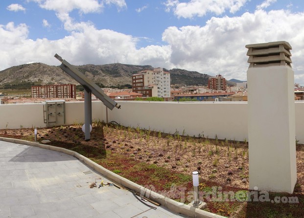 Alijardin, cubierta vegetal mod. Cántir.