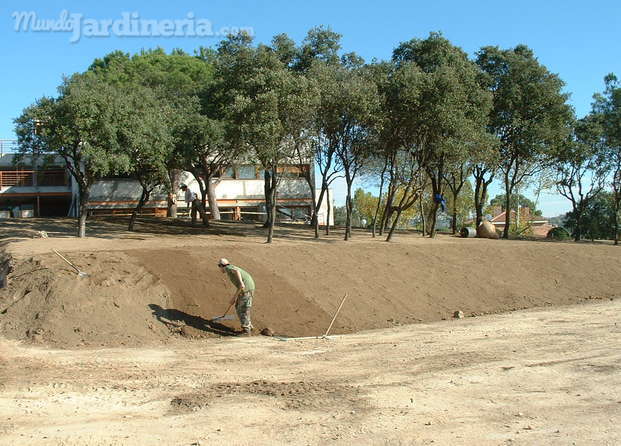 Movimiento de tierras