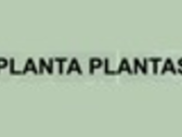 PLANTA PLANTAS