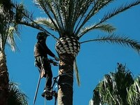 IMG_20230127_173527_165.jpg