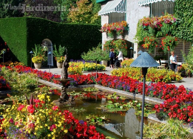 Jardín colorido