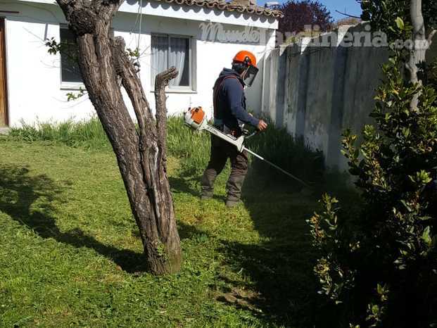 desbroces de parcelas y patios.