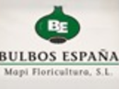 Bulbos España - Mapi Floricultura