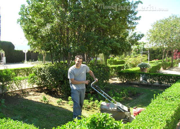 Mantenimiento de jardines